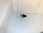 CCTV012.jpg